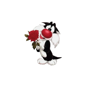 Гиф открытка с 8 марта с котиком и пожеланием счастья и любви