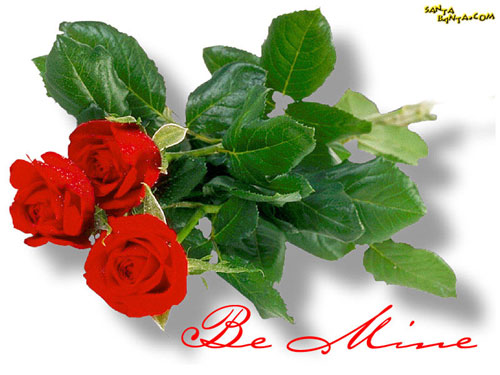 розы ко дню святого валентина