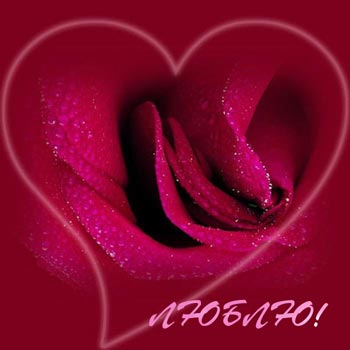поздравительная открытка день святого валентина с розами