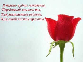 поздравительная открытка день святого валентина с розами