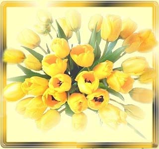 поздравительная открытка с днем святого валентина - тюльпаны