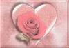 открытки ко дню святого Валентина с розами