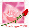 день святого валентина - открытки с розами, цветами