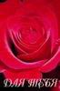 валентинка с розами
