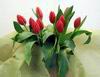 открытка с днем святого валентина - тюльпаны